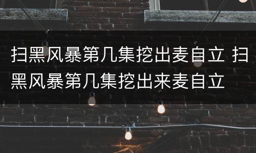 扫黑风暴第几集挖出麦自立 扫黑风暴第几集挖出来麦自立