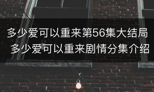 多少爱可以重来第56集大结局 多少爱可以重来剧情分集介绍