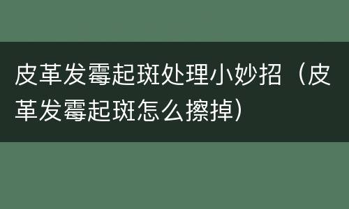 皮革发霉起斑处理小妙招（皮革发霉起斑怎么擦掉）