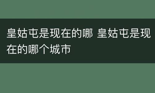 皇姑屯是现在的哪 皇姑屯是现在的哪个城市