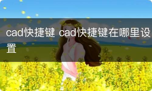 cad快捷键 cad快捷键在哪里设置