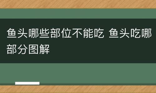 鱼头哪些部位不能吃 鱼头吃哪部分图解