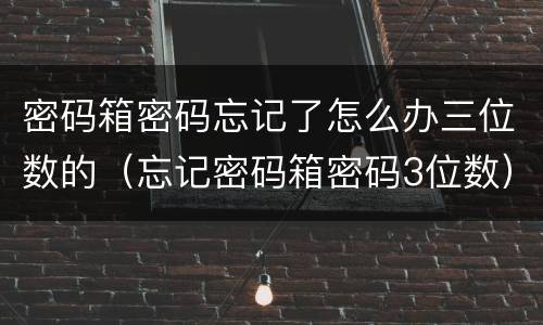 密码箱密码忘记了怎么办三位数的（忘记密码箱密码3位数）