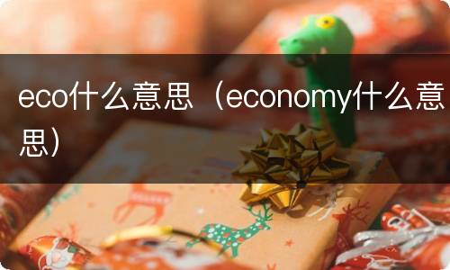 eco什么意思（economy什么意思）