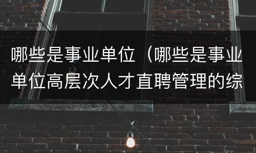 哪些是事业单位（哪些是事业单位高层次人才直聘管理的综合管理部门）