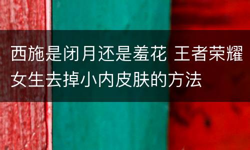 西施是闭月还是羞花 王者荣耀女生去掉小内皮肤的方法