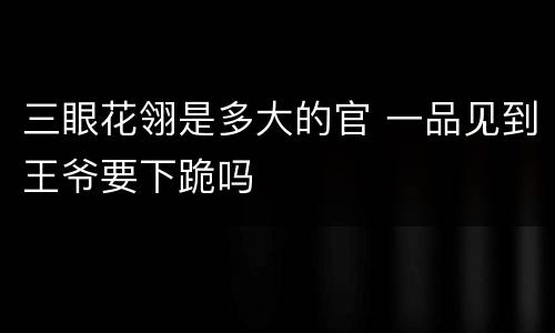 三眼花翎是多大的官 一品见到王爷要下跪吗