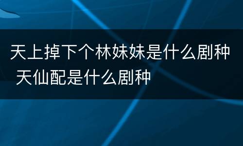 天上掉下个林妹妹是什么剧种 天仙配是什么剧种