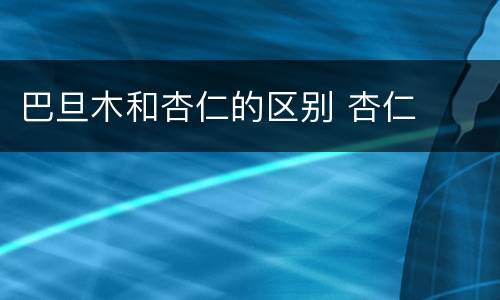 巴旦木和杏仁的区别 杏仁