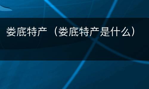 娄底特产（娄底特产是什么）