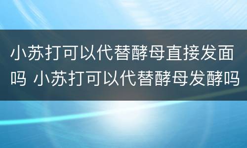 小苏打可以代替酵母直接发面吗 小苏打可以代替酵母发酵吗