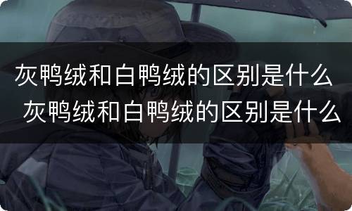 灰鸭绒和白鸭绒的区别是什么 灰鸭绒和白鸭绒的区别是什么呢