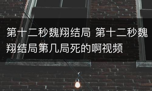 第十二秒魏翔结局 第十二秒魏翔结局第几局死的啊视频