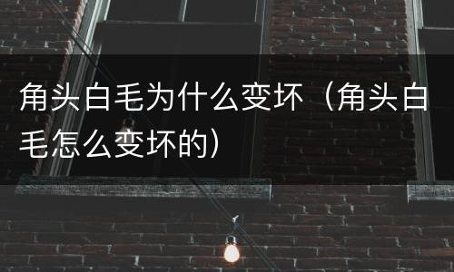 角头白毛为什么变坏（角头白毛怎么变坏的）