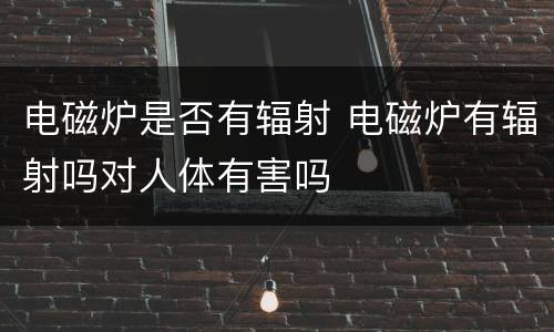 电磁炉是否有辐射 电磁炉有辐射吗对人体有害吗