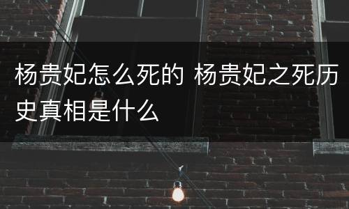 杨贵妃怎么死的 杨贵妃之死历史真相是什么