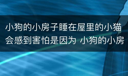 小狗的小房子睡在屋里的小猫会感到害怕是因为 小狗的小房子睡在屋里的小猫会感到害怕为什么