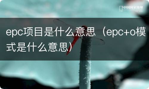 epc项目是什么意思（epc+o模式是什么意思）