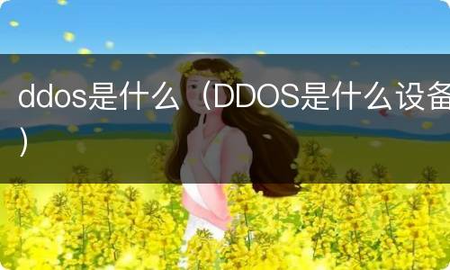 ddos是什么（DDOS是什么设备）