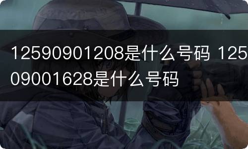 12590901208是什么号码 125909001628是什么号码