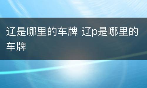 辽是哪里的车牌 辽p是哪里的车牌