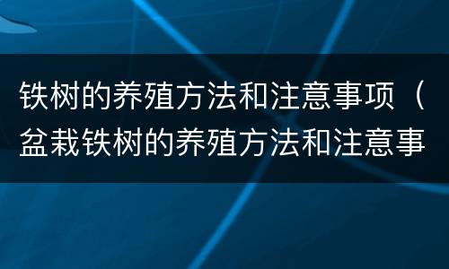 铁树的养殖方法和注意事项（盆栽铁树的养殖方法和注意事项）