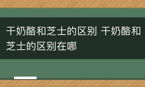 干奶酪和芝士的区别 干奶酪和芝士的区别在哪