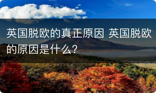 英国脱欧的真正原因 英国脱欧的原因是什么?