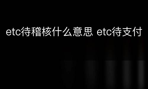 etc待稽核什么意思 etc待支付