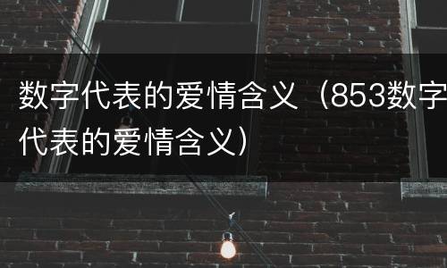 数字代表的爱情含义（853数字代表的爱情含义）