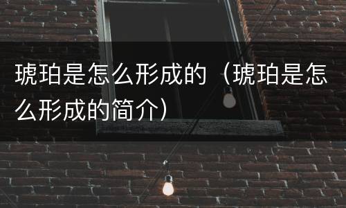 琥珀是怎么形成的（琥珀是怎么形成的简介）