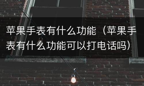 苹果手表有什么功能（苹果手表有什么功能可以打电话吗）