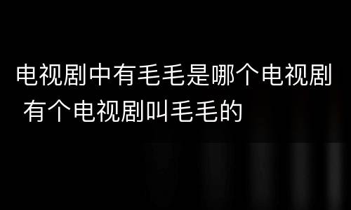 电视剧中有毛毛是哪个电视剧 有个电视剧叫毛毛的