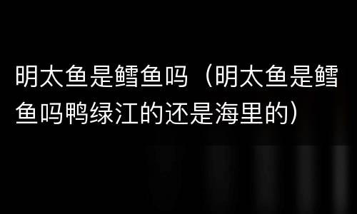 明太鱼是鳕鱼吗（明太鱼是鳕鱼吗鸭绿江的还是海里的）