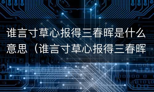 谁言寸草心报得三春晖是什么意思（谁言寸草心报得三春晖是什么意思?）