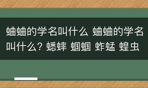 蛐蛐的学名叫什么 蛐蛐的学名叫什么? 蟋蟀 蝈蝈 蚱蜢 蝗虫