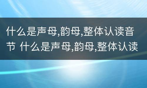 什么是声母,韵母,整体认读音节 什么是声母,韵母,整体认读音节的拼音