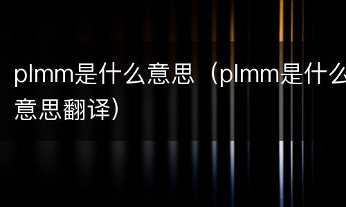 plmm是什么意思（plmm是什么意思翻译）