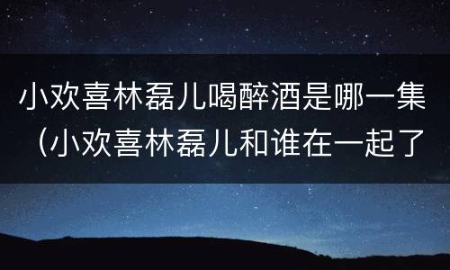 小欢喜林磊儿喝醉酒是哪一集（小欢喜林磊儿和谁在一起了结局）