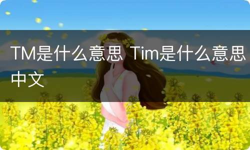 TM是什么意思 Tim是什么意思中文