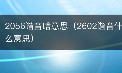 2056谐音啥意思（2602谐音什么意思）