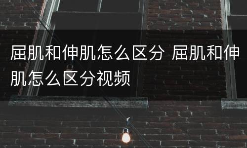 屈肌和伸肌怎么区分 屈肌和伸肌怎么区分视频