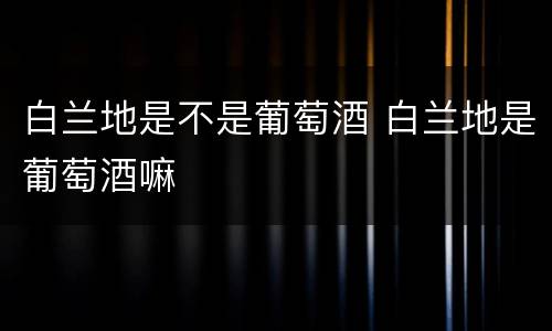 白兰地是不是葡萄酒 白兰地是葡萄酒嘛