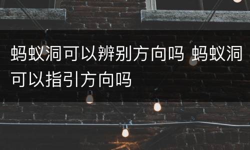 蚂蚁洞可以辨别方向吗 蚂蚁洞可以指引方向吗