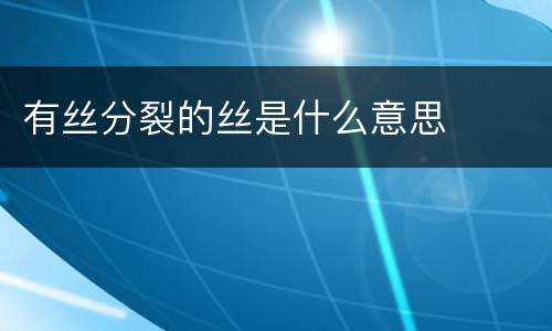 有丝分裂的丝是什么意思