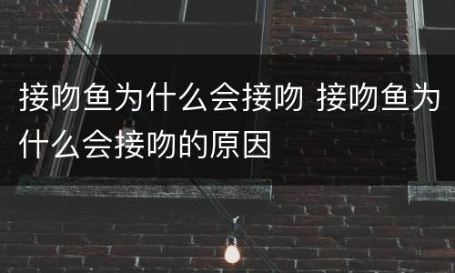 接吻鱼为什么会接吻 接吻鱼为什么会接吻的原因