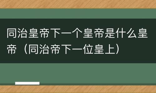 同治皇帝下一个皇帝是什么皇帝（同治帝下一位皇上）