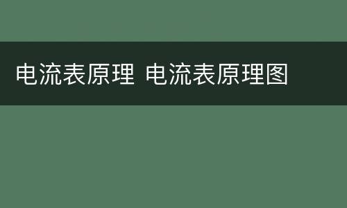 电流表原理 电流表原理图