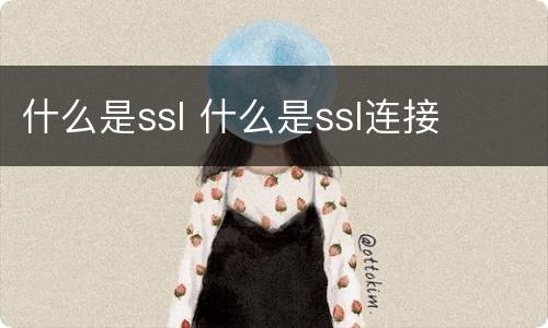 什么是ssl 什么是ssl连接