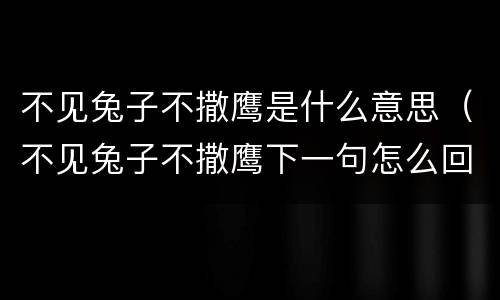 不见兔子不撒鹰是什么意思（不见兔子不撒鹰下一句怎么回复她）